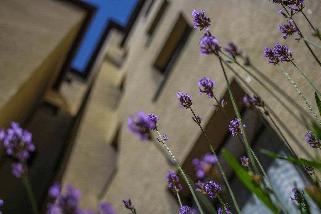 Fürth Hotel Five Seasons מראה חיצוני תמונה